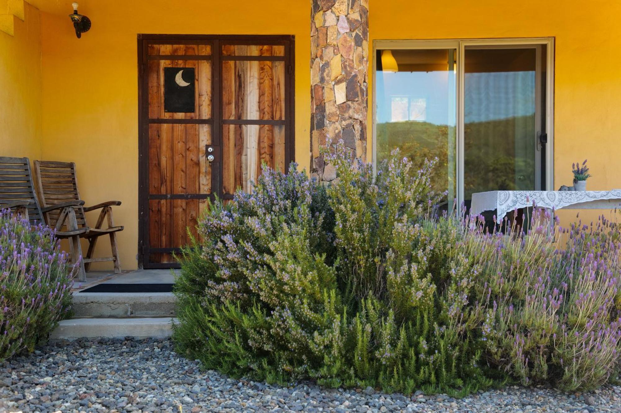 Bed and Breakfast Quinta Estrella à Valle de Guadalupe Extérieur photo