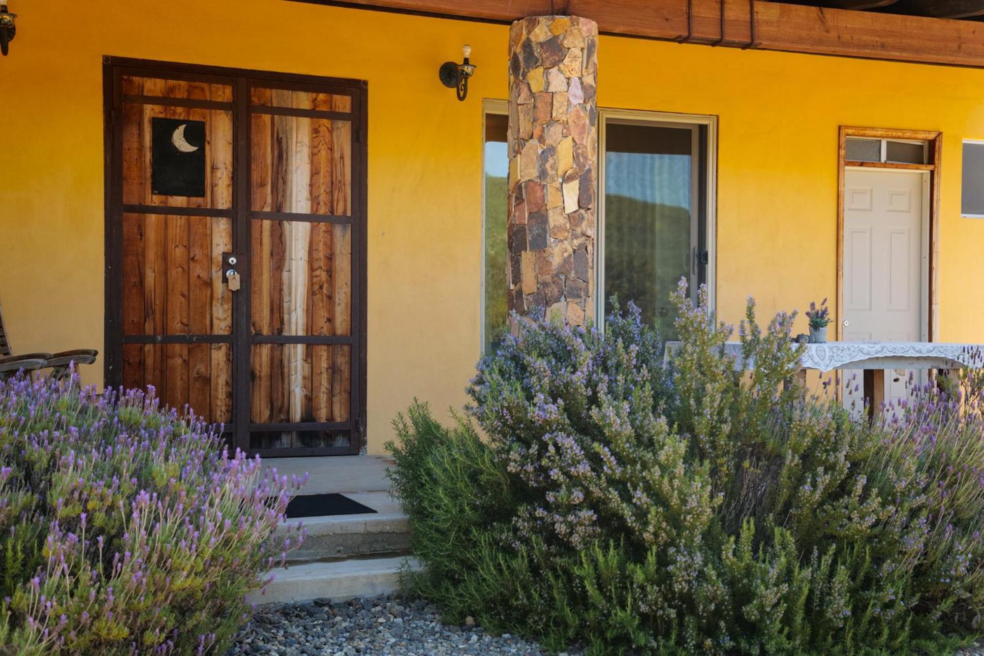 Bed and Breakfast Quinta Estrella à Valle de Guadalupe Extérieur photo